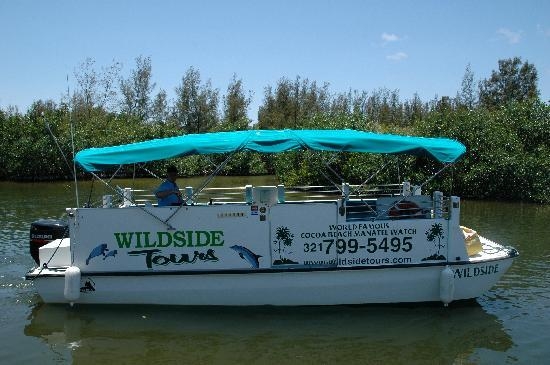 Wild Side Tours 